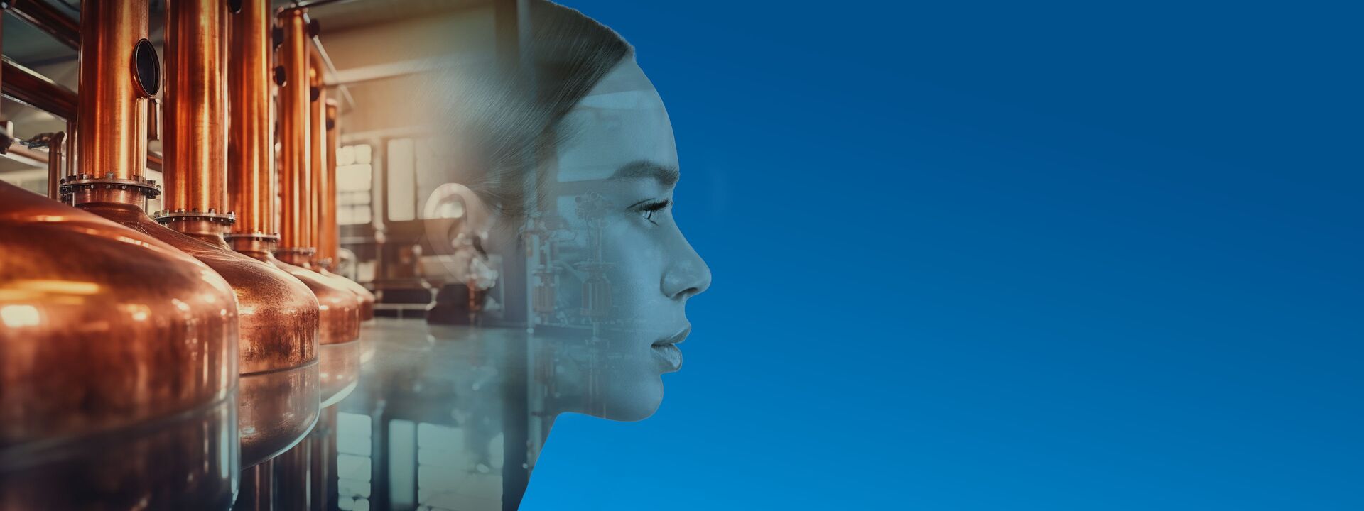 API Schmidt-Bretten GmbH & Co. KG