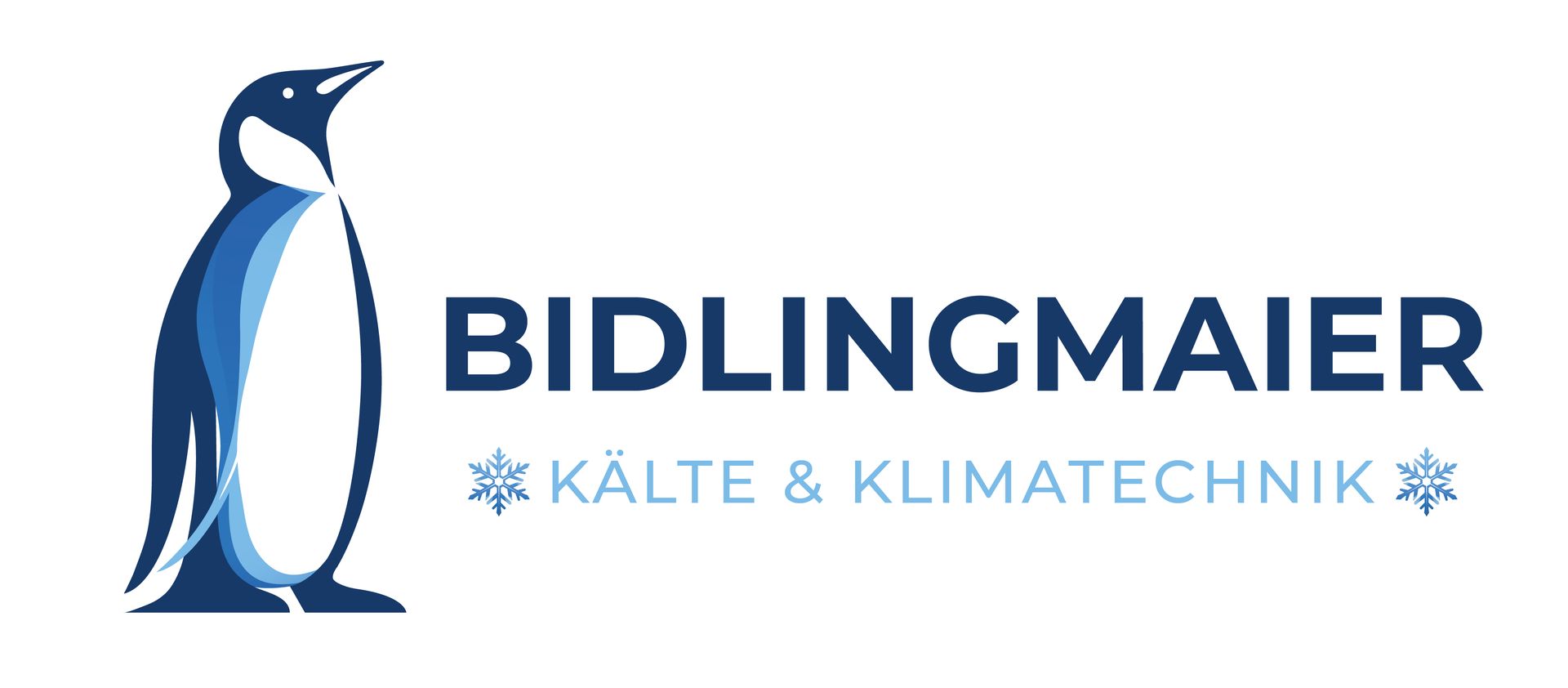 Bidlingmaier Kälte- und Klimatechnik