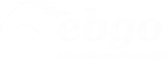 ebgo company GmbH