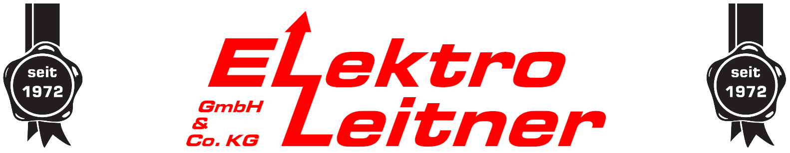 Elektro Leitner GmbH & Co. KG