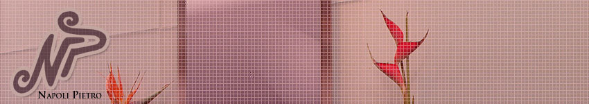 Fliesen - Abteilung THOMAS MERKEL & Sohn GmbH