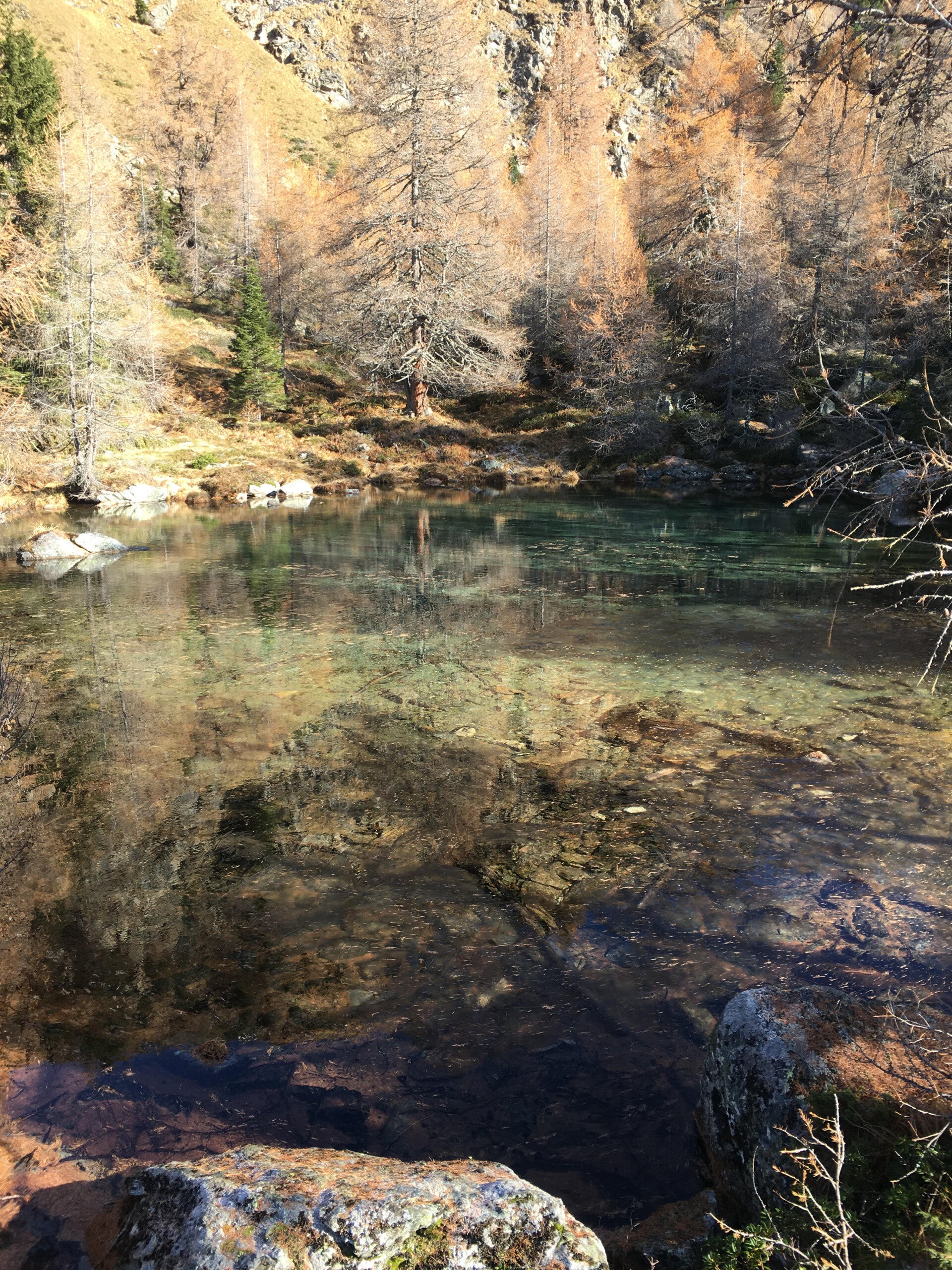 FORSTER Heizung und Sanitär Kundendienst, Wartung