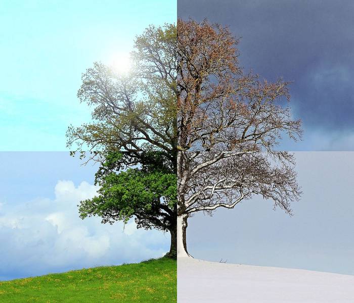 Alexander Hotz Heizungsbau & Sanitär