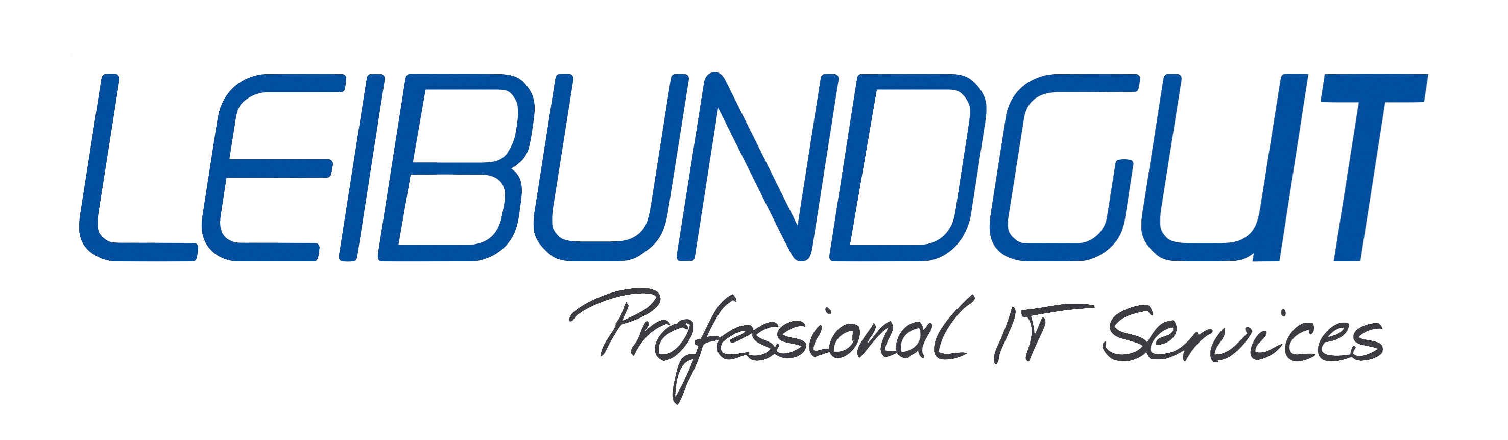 LEIBUNDGUT - IT u. TeleKommunikation