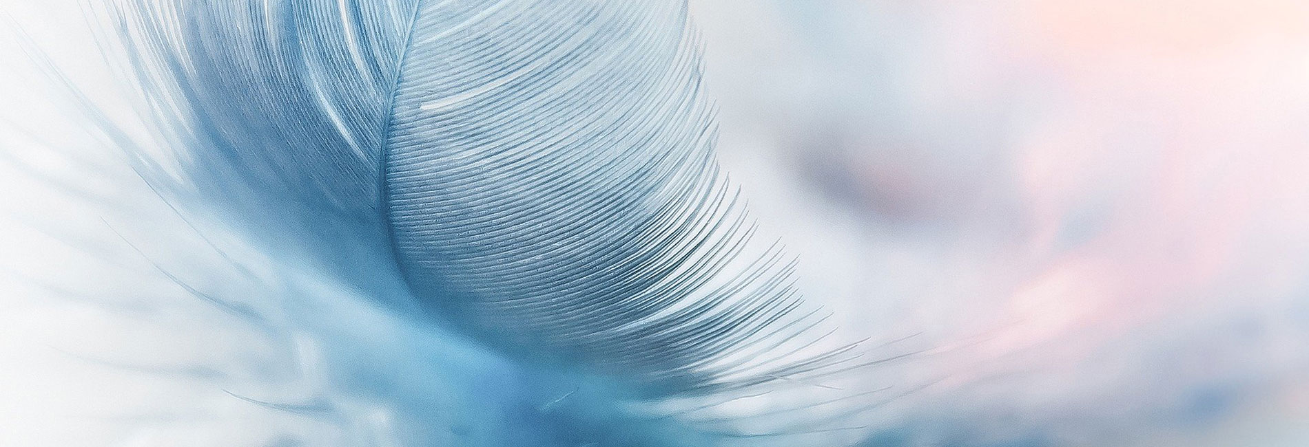 Schlichting Bestattungen