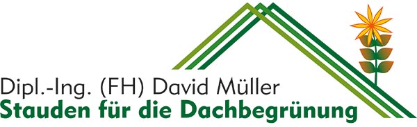 David Müller Dachbegrünung