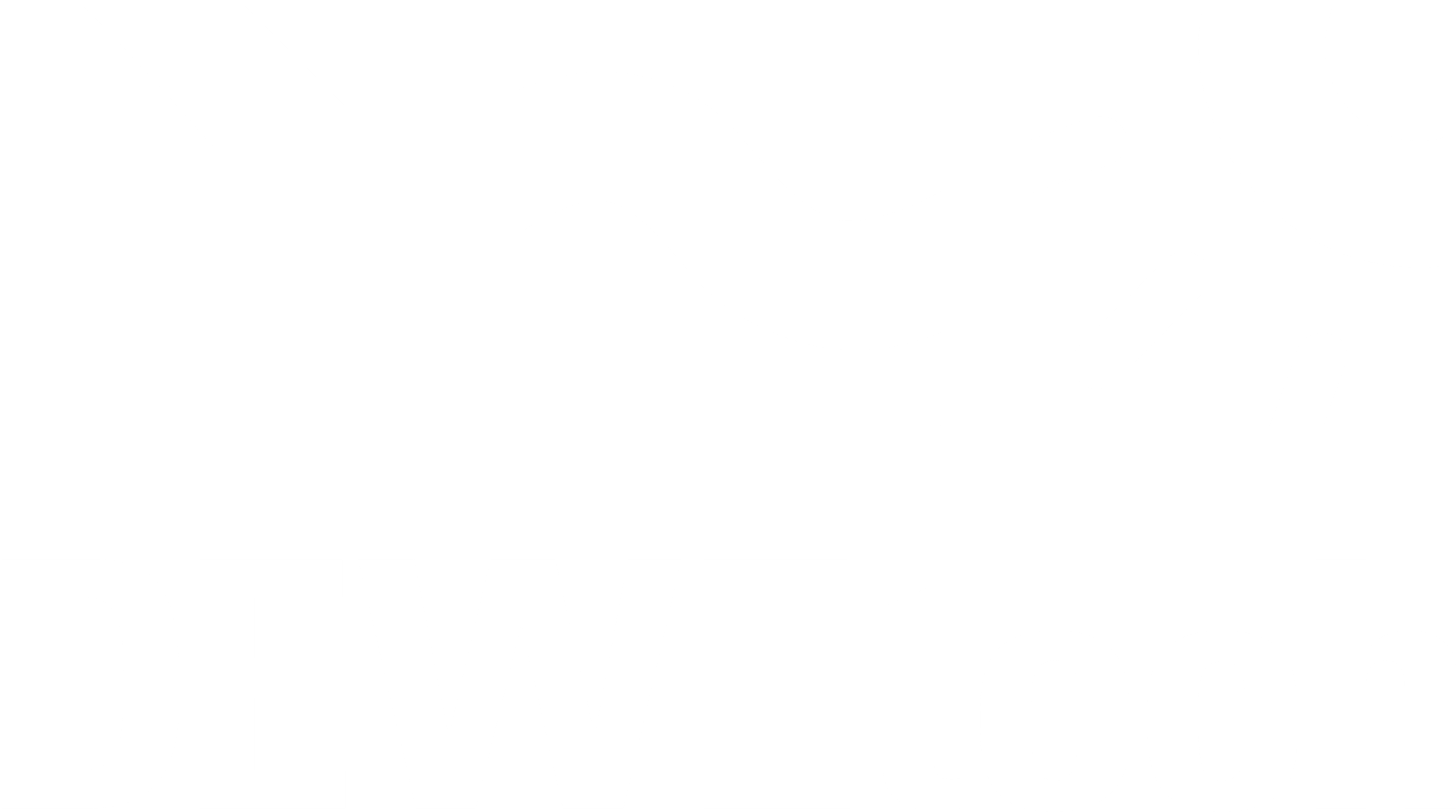 DEINZER + WEYLAND GmbH