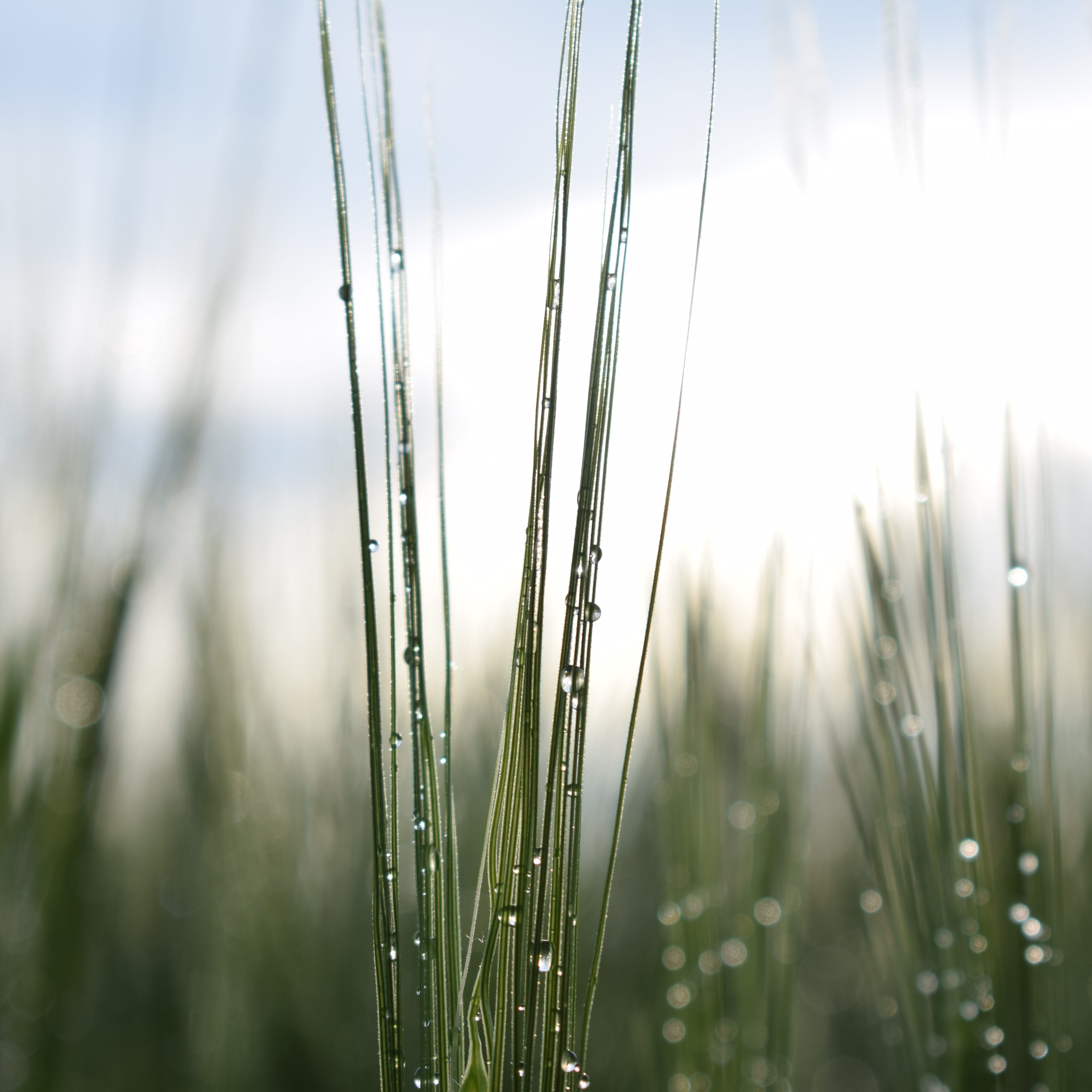 HAUSMEISTERTEAM Glaser