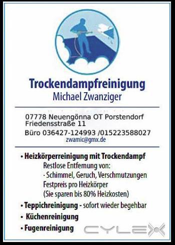 Reinigung mit Trockendampf - Michael Zwanziger
