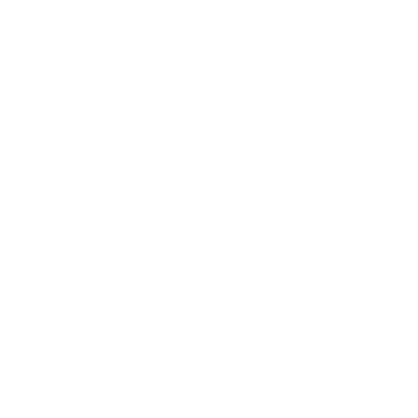 Robert Koch - Handwerker