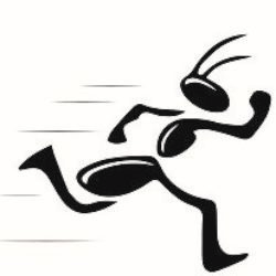 Pommern Service und Dienstleistungen GmbH