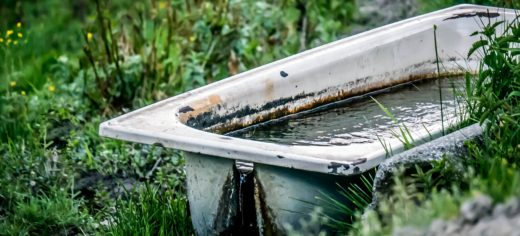 WHS Service S. Hanson e.K.